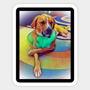 Handsome Anatolian shepherd boy Sticker